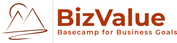 BizValue logo